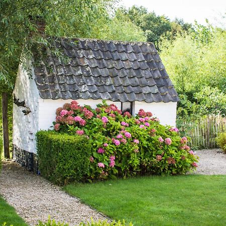 Stee 23 Bed and Breakfast Hertsberge Buitenkant foto