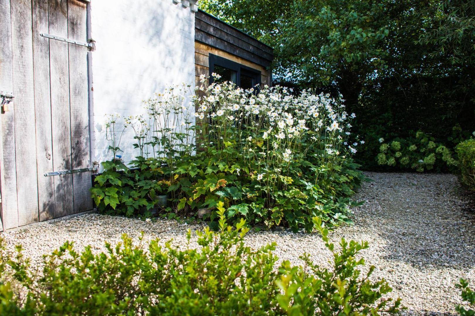 Stee 23 Bed and Breakfast Hertsberge Buitenkant foto